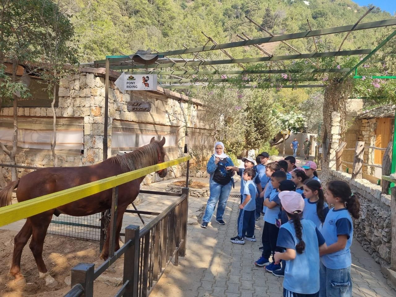 Educational Field Trips & Excursions